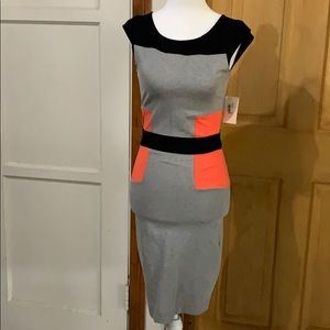 NWT colorblock fitted dress by French Connection